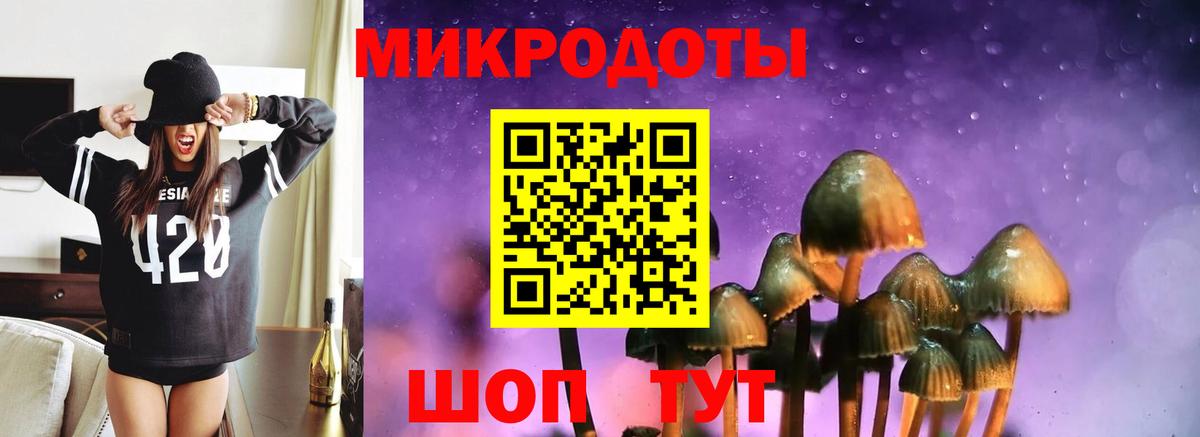 Псилоцибиновые грибы Magic Shrooms Кудымкар